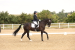 SBM_005601