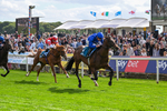 Race 5 16.15pm Tomahawk Restaurants Supporting Macmillan EBF Maiden Stakes portfolio