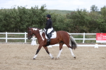 SBM_003591