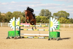 SBM_007975