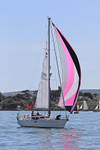 190601 GIGI - OYSTER 45 1Y3A8912
