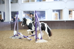 SBM_000174