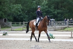 308-COOLEY_ANYTHING_YOU_LIKE-Harry_Meade portfolio
