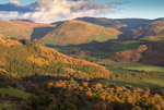 Autumn light, Dysynni valley