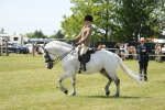 SBM_07611