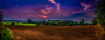 The Field