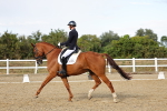 SBM_007519