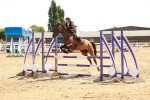 SBM_002892