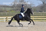 BPP_7403