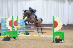 SBM_003913