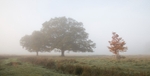 IMG_2072 v4