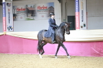 Class 5A - Area Ridden Veteran portfolio