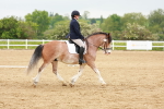 SBM_005949