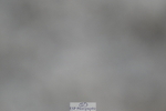 240611A-194130-01429
