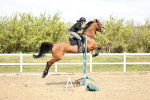 SBM_000780