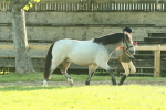 SBM_57387