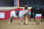 SBM_07709