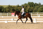 SBM_006960