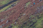 Langdale-4