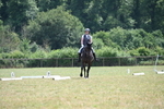 WJ6_8014