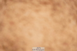 240526A-132712-08387