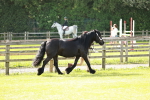 SBM_00808