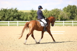 SBM_002766