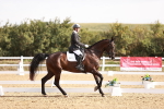 SBM_016991