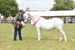 SBM_16140