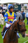170623-Race 7-The Green Man-0976