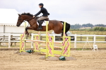 SBM_026230