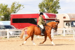 SBM_15480