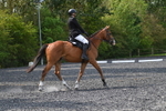 WJ5_9353