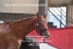 JAC_6524