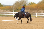 SBM_000656