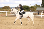 SBM_008527