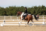 SBM_003872