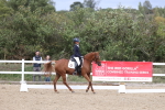 SBM_003816
