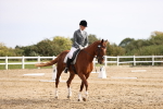 SBM_001754