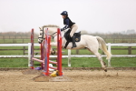 SBM_000985