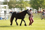 SBM_00724