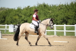 SBM_009502