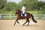 SBM_009605
