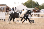 SBM_09283