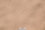 260730-152045-02259