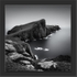 Neist point