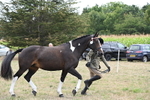 WJ6_6234