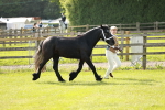 SBM_00696