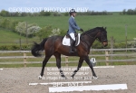 BPP_6513