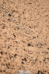 231015A-094828-06809